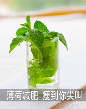惊！薄荷减肥10天瘦7斤